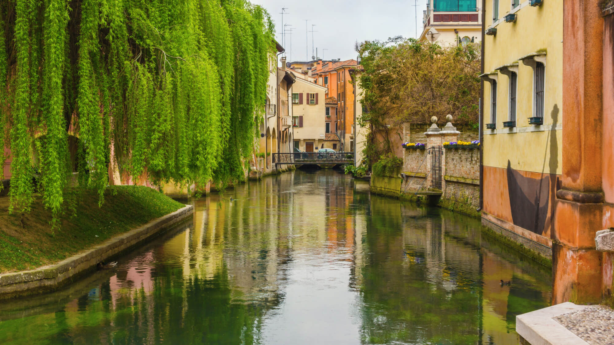 Simionato Immobiliare